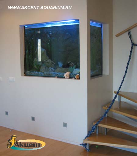 Акцент-аквариум,аквариум 800 литров встроенный в стену